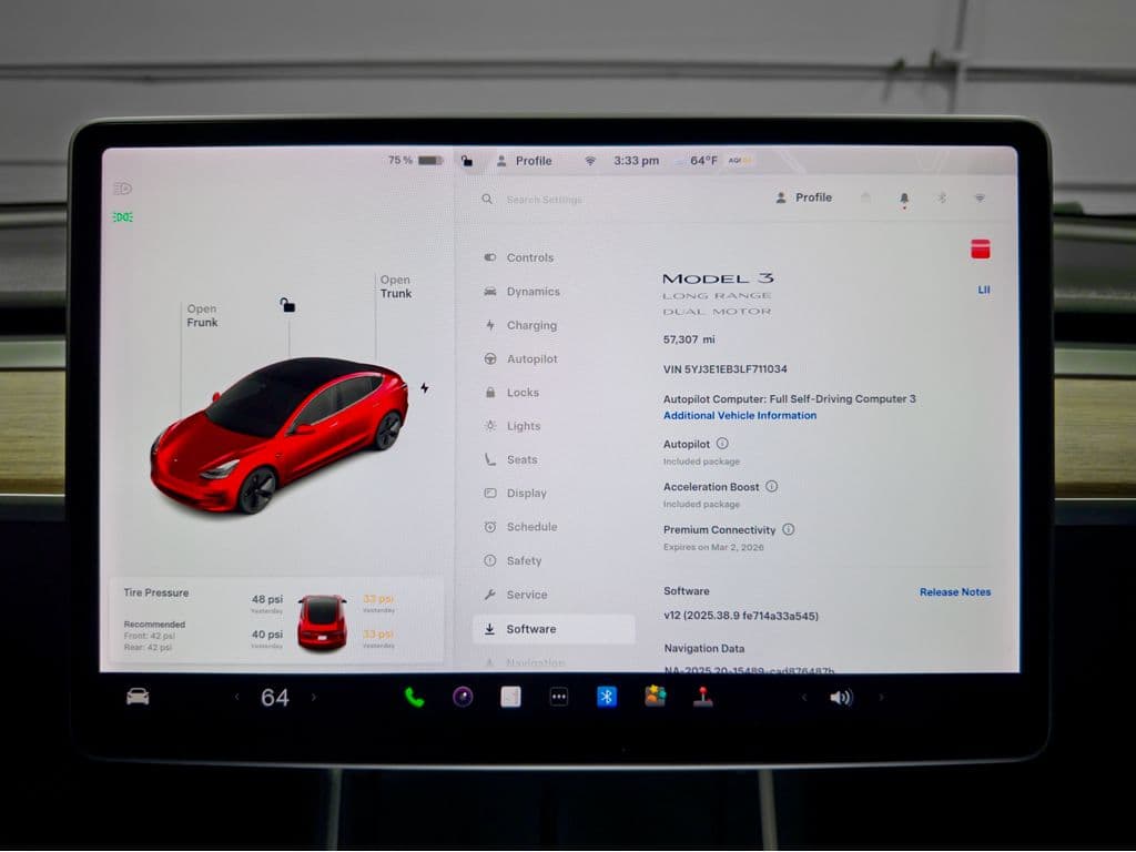 2020 Tesla Model 3 view 9