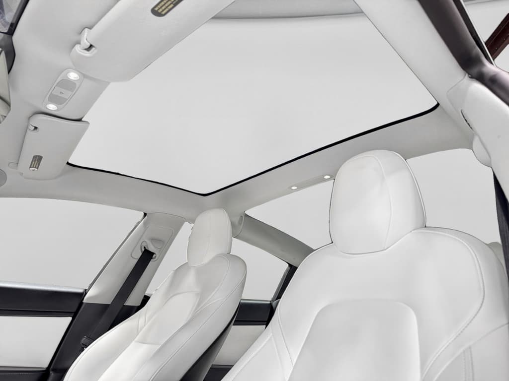 2020 Tesla Model 3 view 22