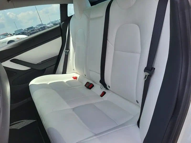 2020 Tesla Model 3 view 6