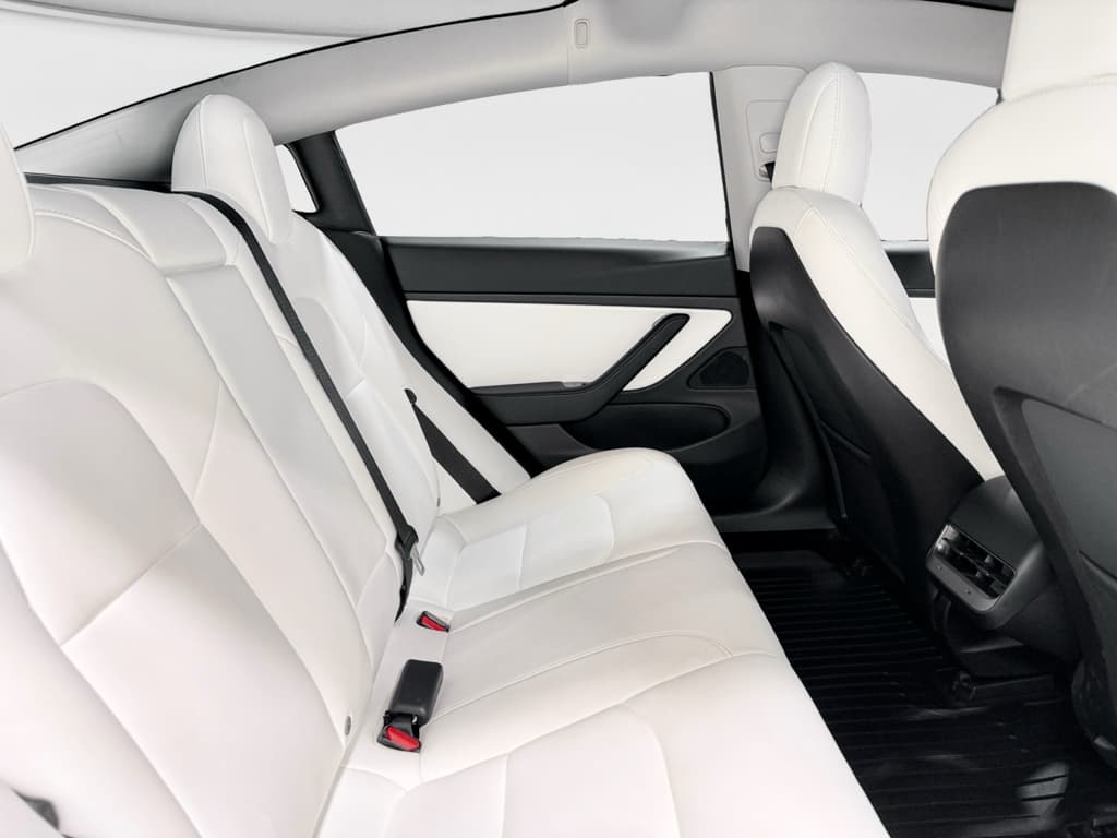 2020 Tesla Model 3 view 21