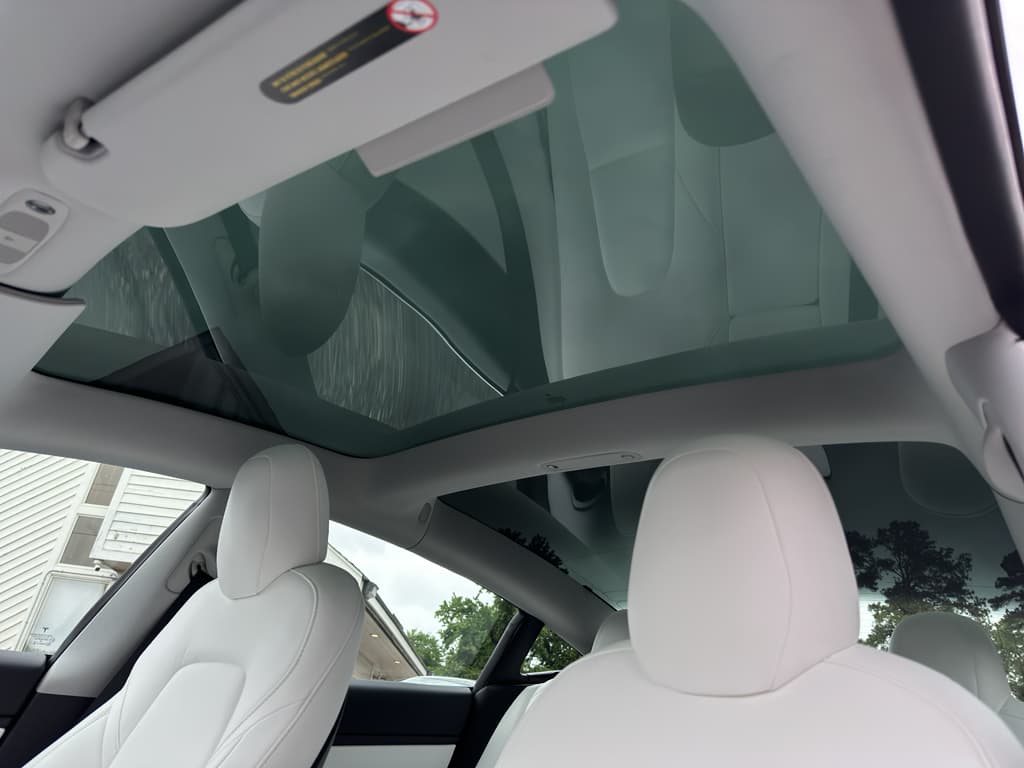 2020 Tesla Model 3 view 18