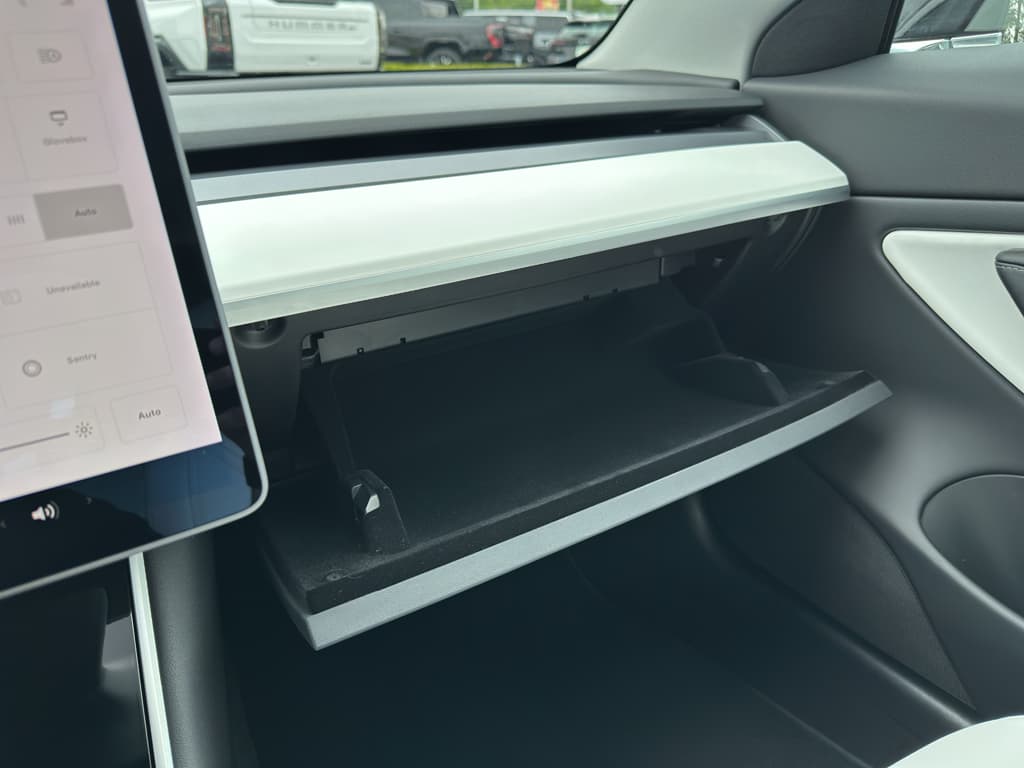 2020 Tesla Model 3 view 17