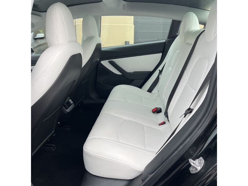 2020 Tesla Model 3 view 11