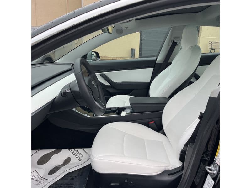 2020 Tesla Model 3 view 10