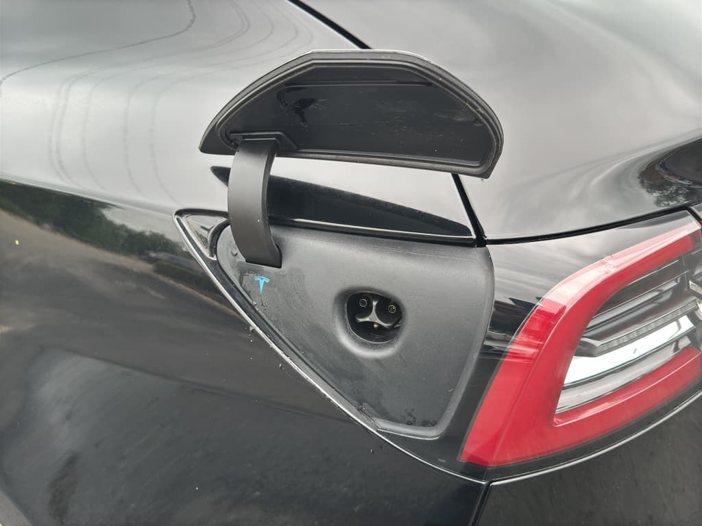 2020 Tesla Model 3 view 5