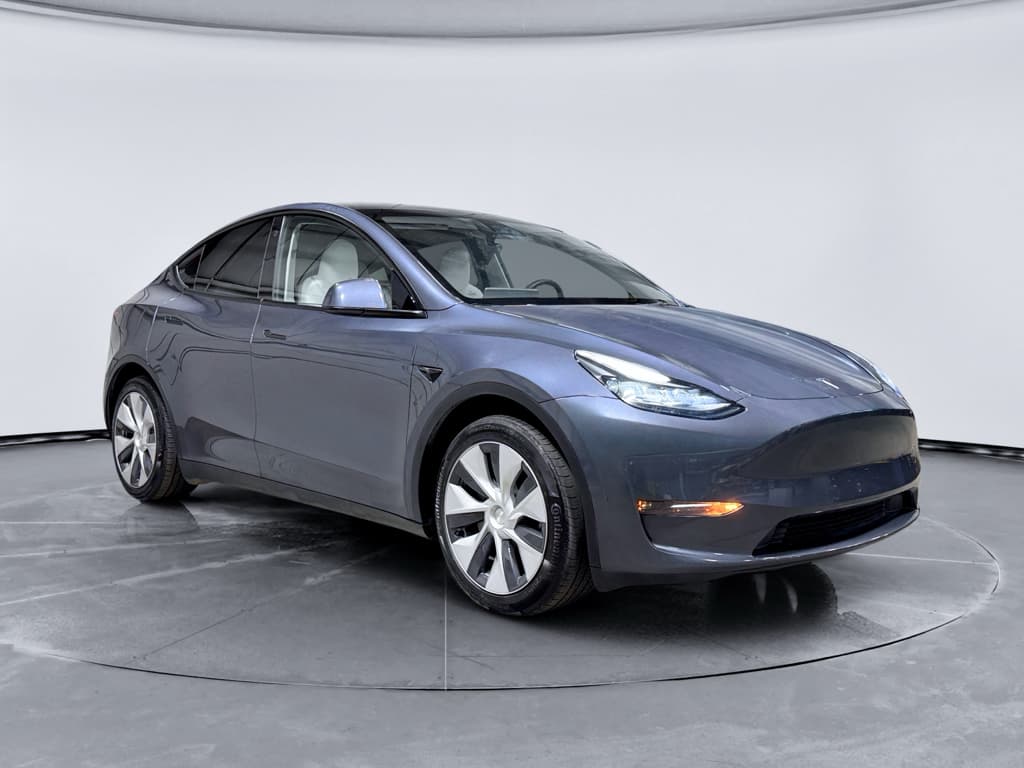2023 Tesla Model Y view 4