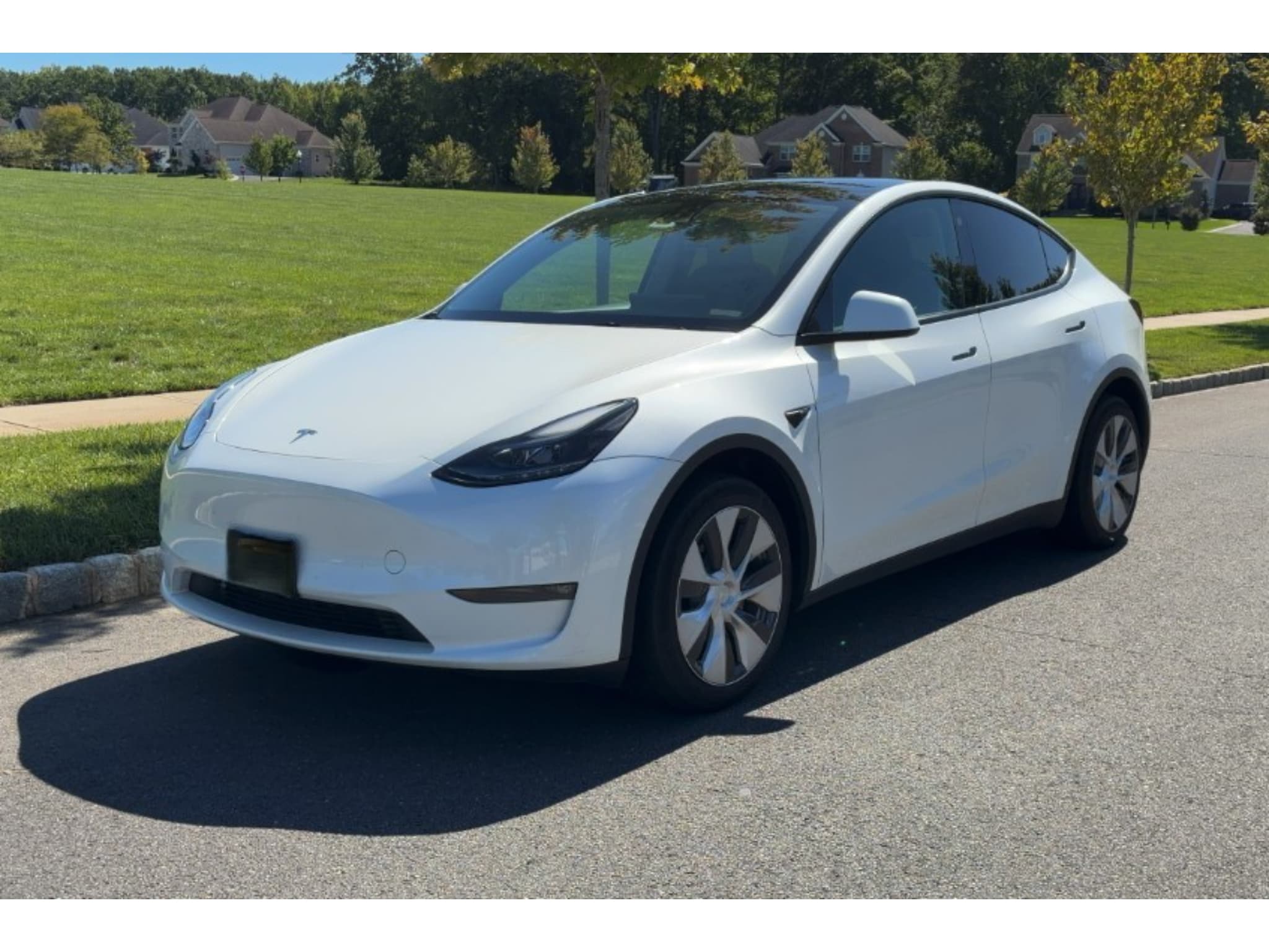 2023 Tesla Model Y view 1