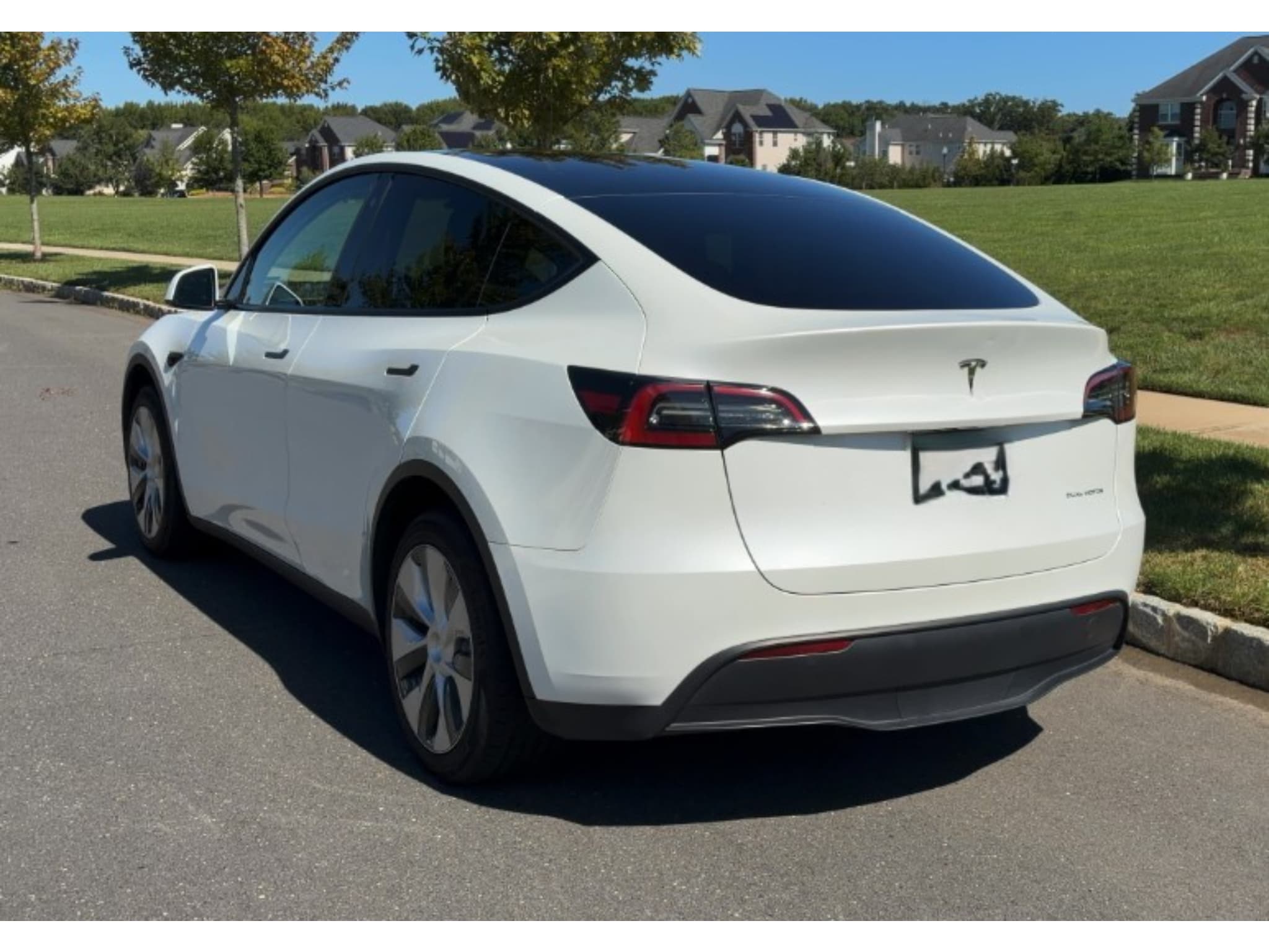 2023 Tesla Model Y view 4