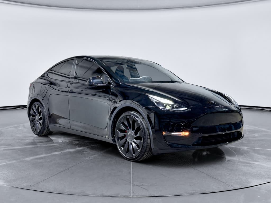 2023 Tesla Model Y view 4