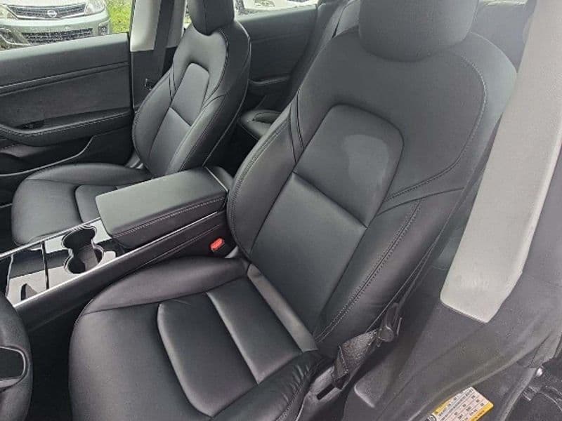 2020 Tesla Model 3 view 5