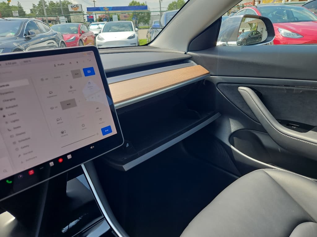 2020 Tesla Model 3 view 16