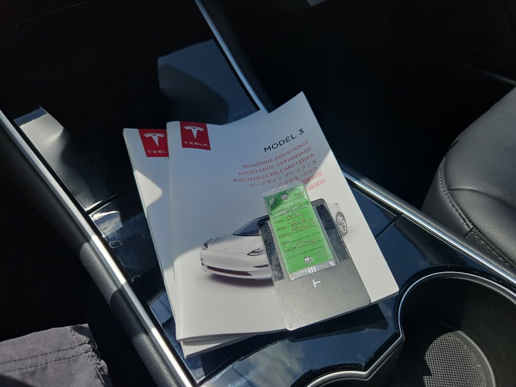 2020 Tesla Model 3 view 17
