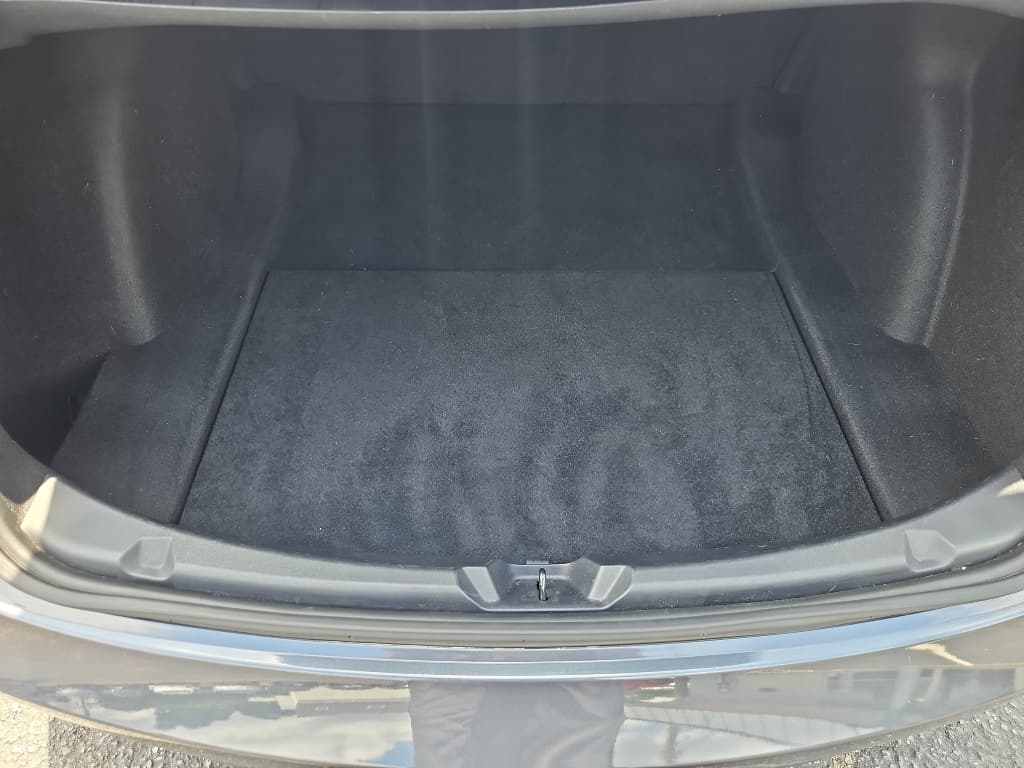 2020 Tesla Model 3 view 19