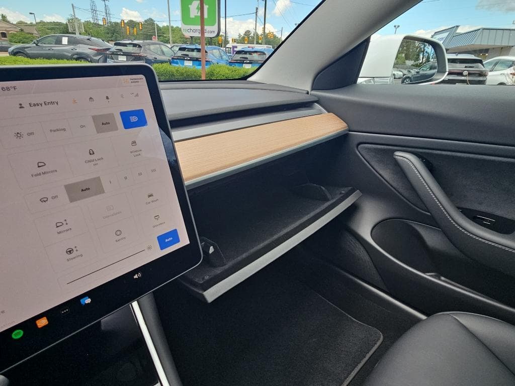2020 Tesla Model 3 view 14