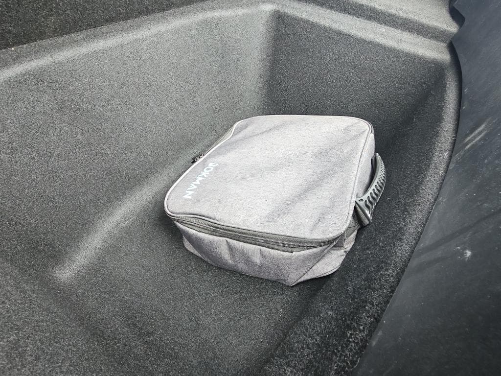 2020 Tesla Model 3 view 6