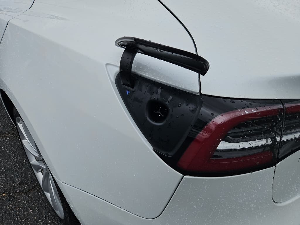 2020 Tesla Model 3 view 5