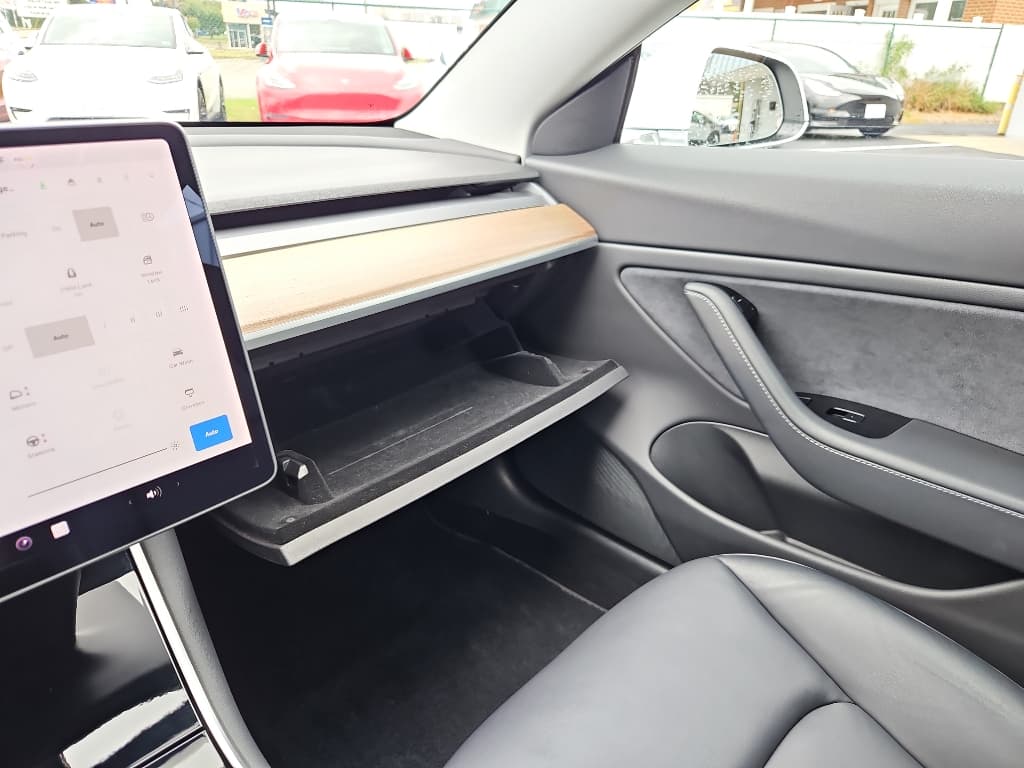 2020 Tesla Model 3 view 17