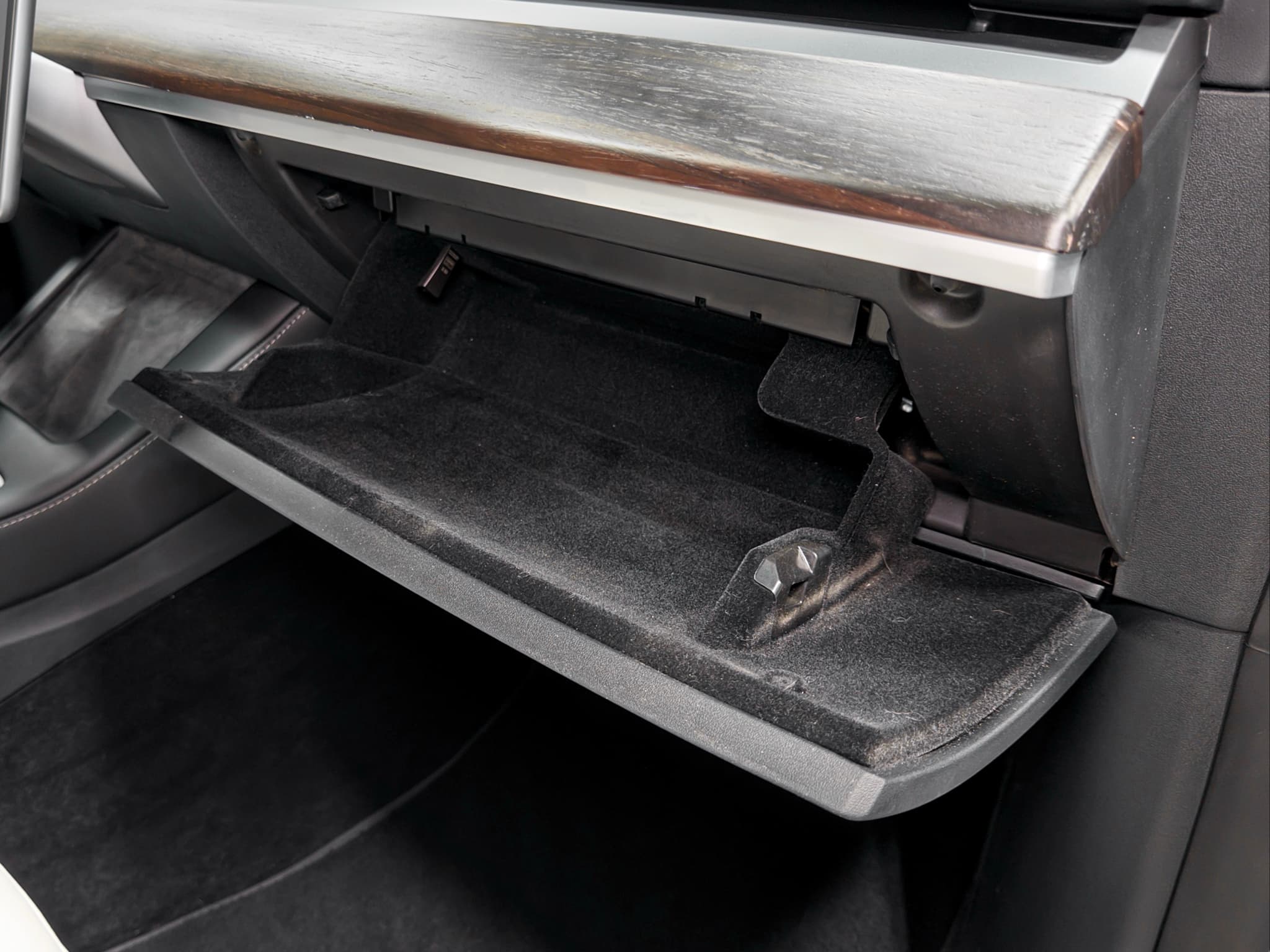 2023 Tesla Model Y view 19