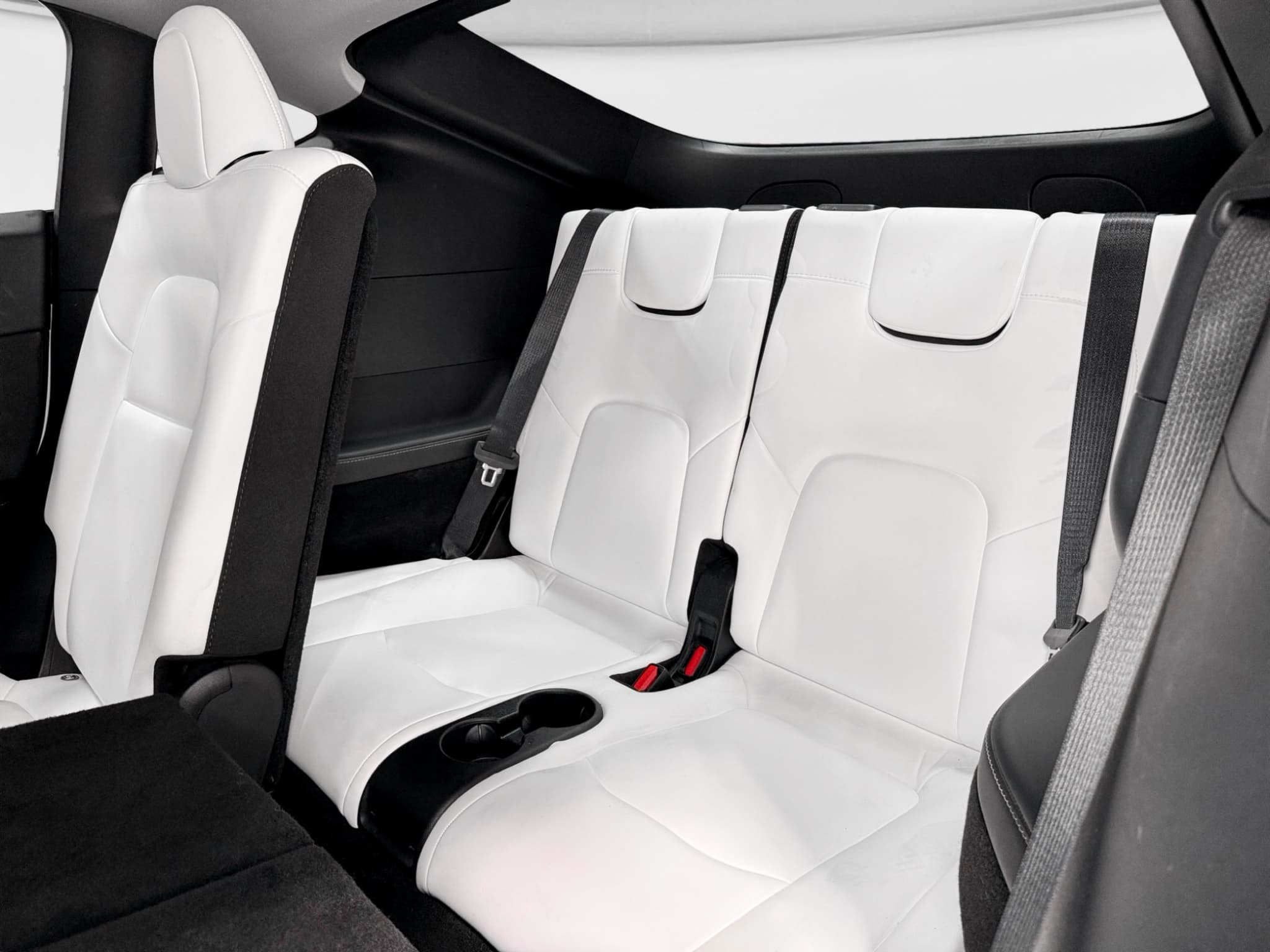 2023 Tesla Model Y view 22