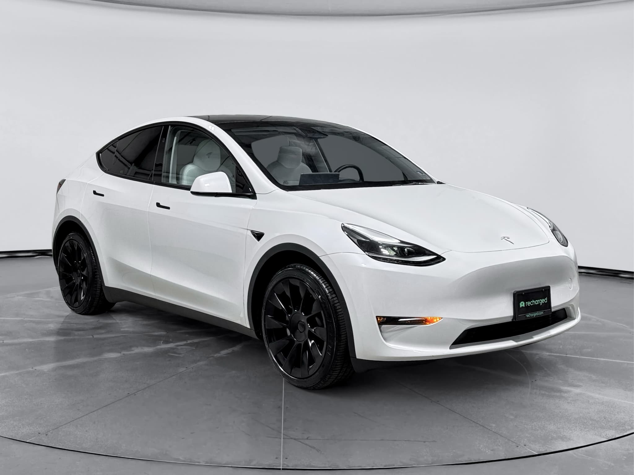 2023 Tesla Model Y view 4