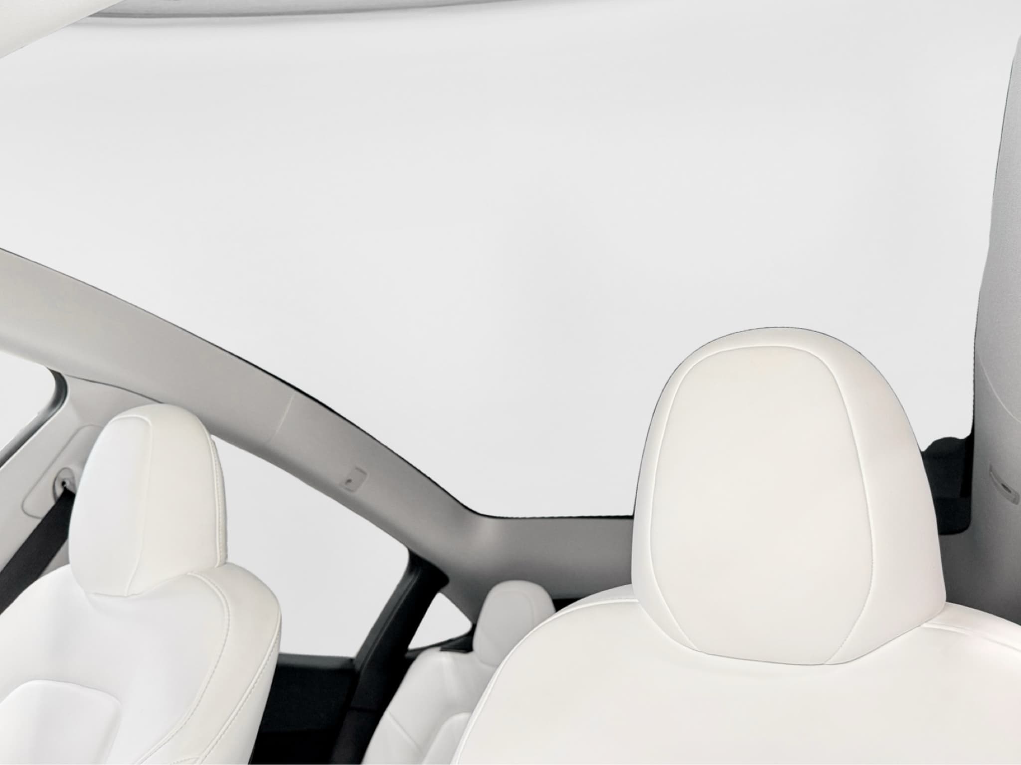 2023 Tesla Model Y view 24