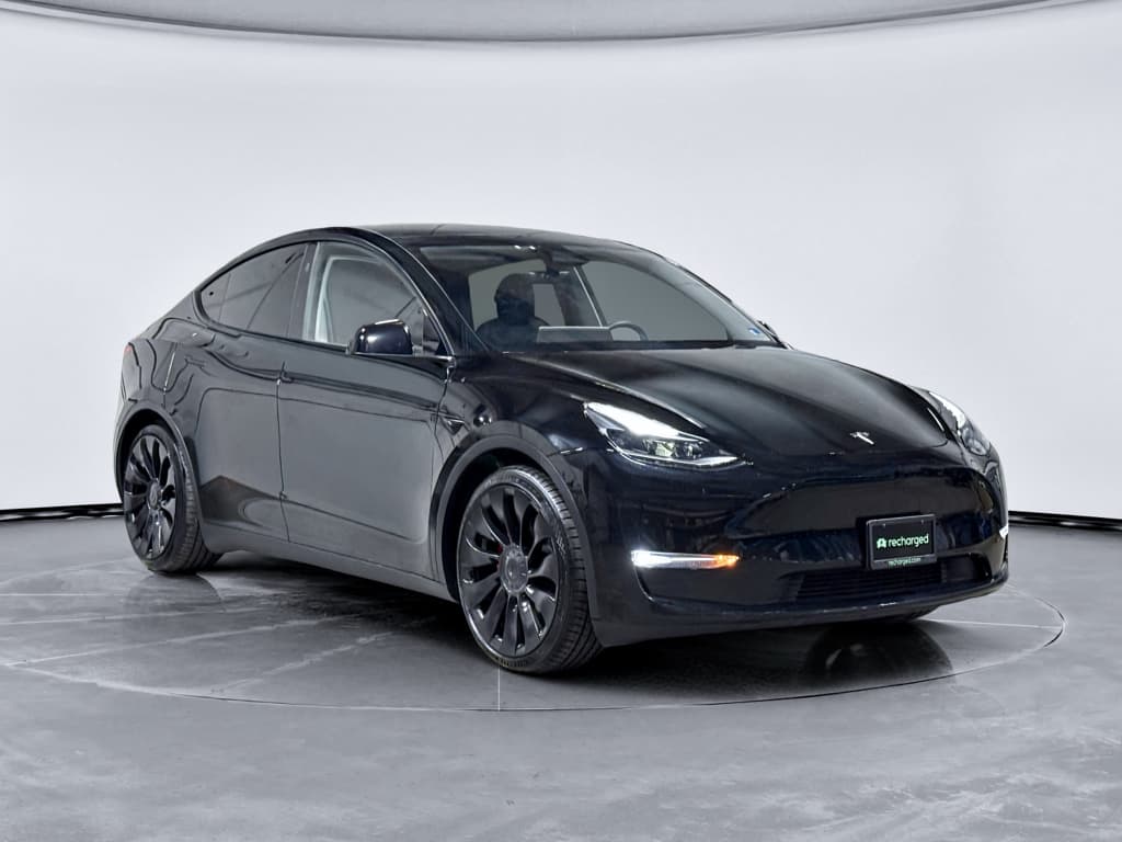 2023 Tesla Model Y view 4