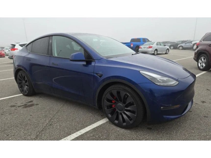 2023 Tesla Model Y view 4