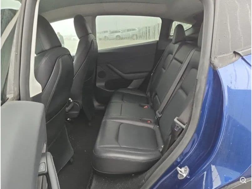 2023 Tesla Model Y view 6