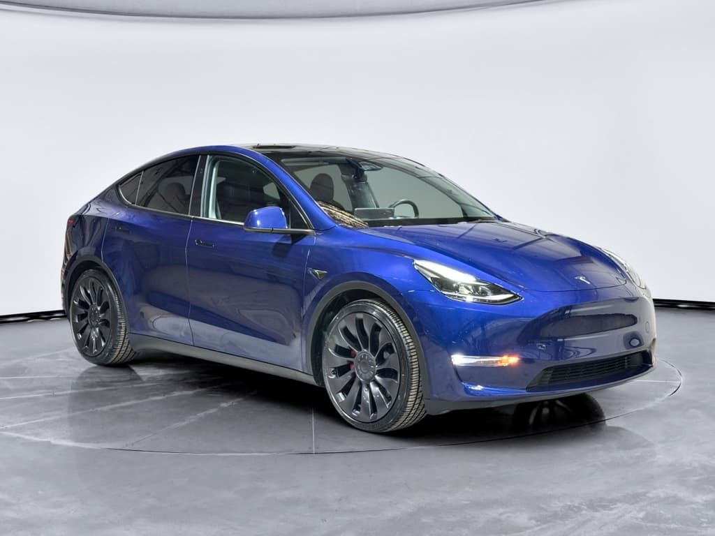 2023 Tesla Model Y view 4