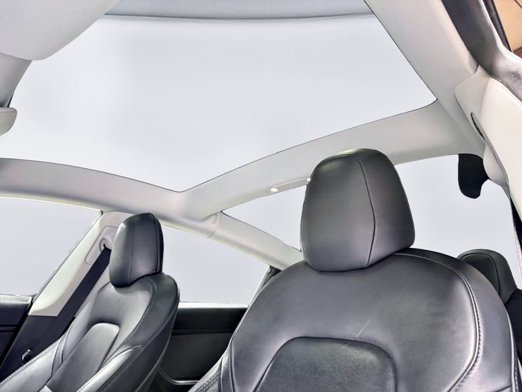 2021 Tesla Model 3 view 22