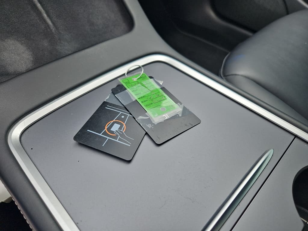 2021 Tesla Model 3 view 17