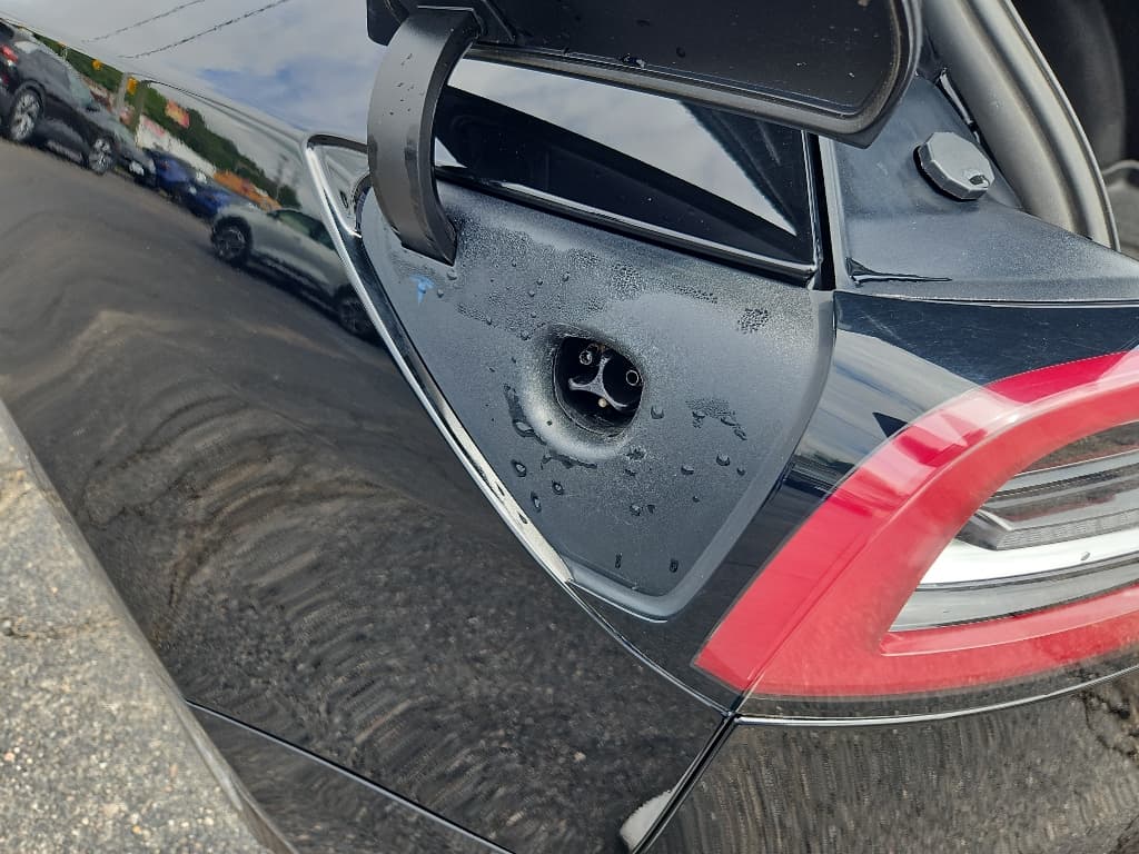 2021 Tesla Model 3 view 5