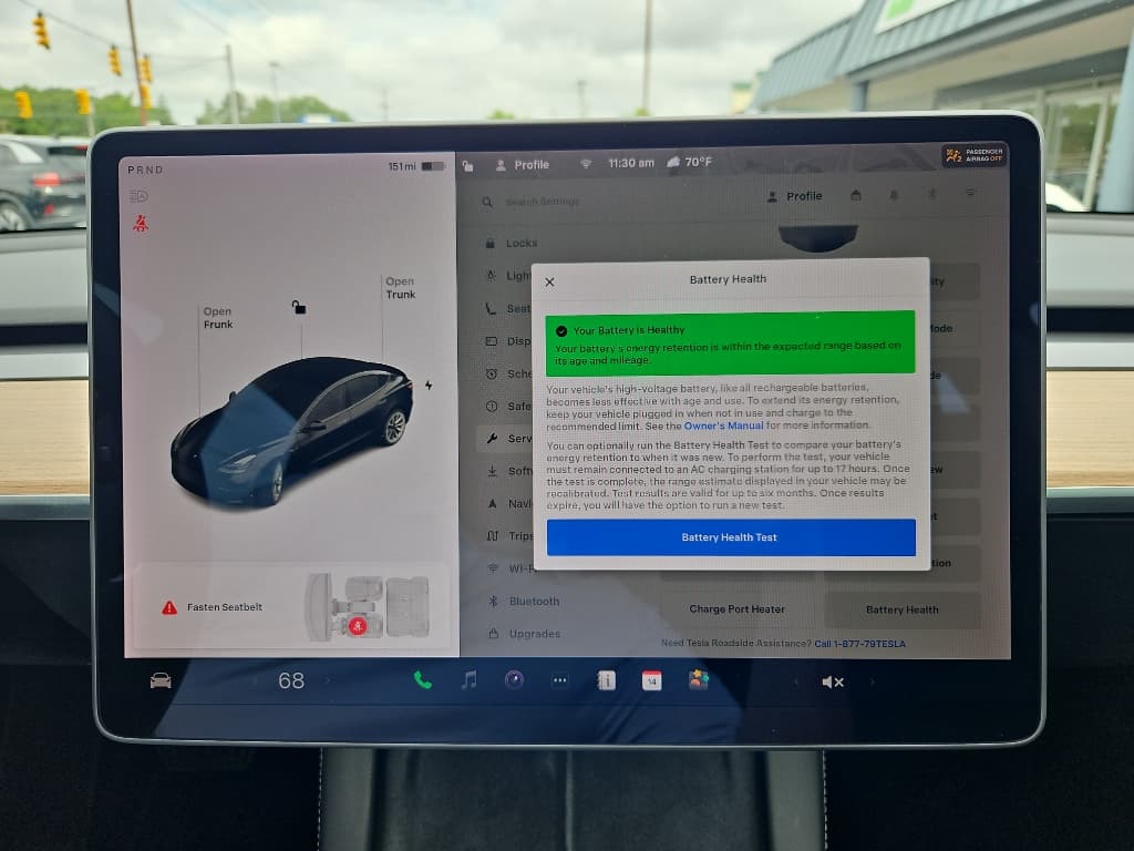 2021 Tesla Model 3 view 10