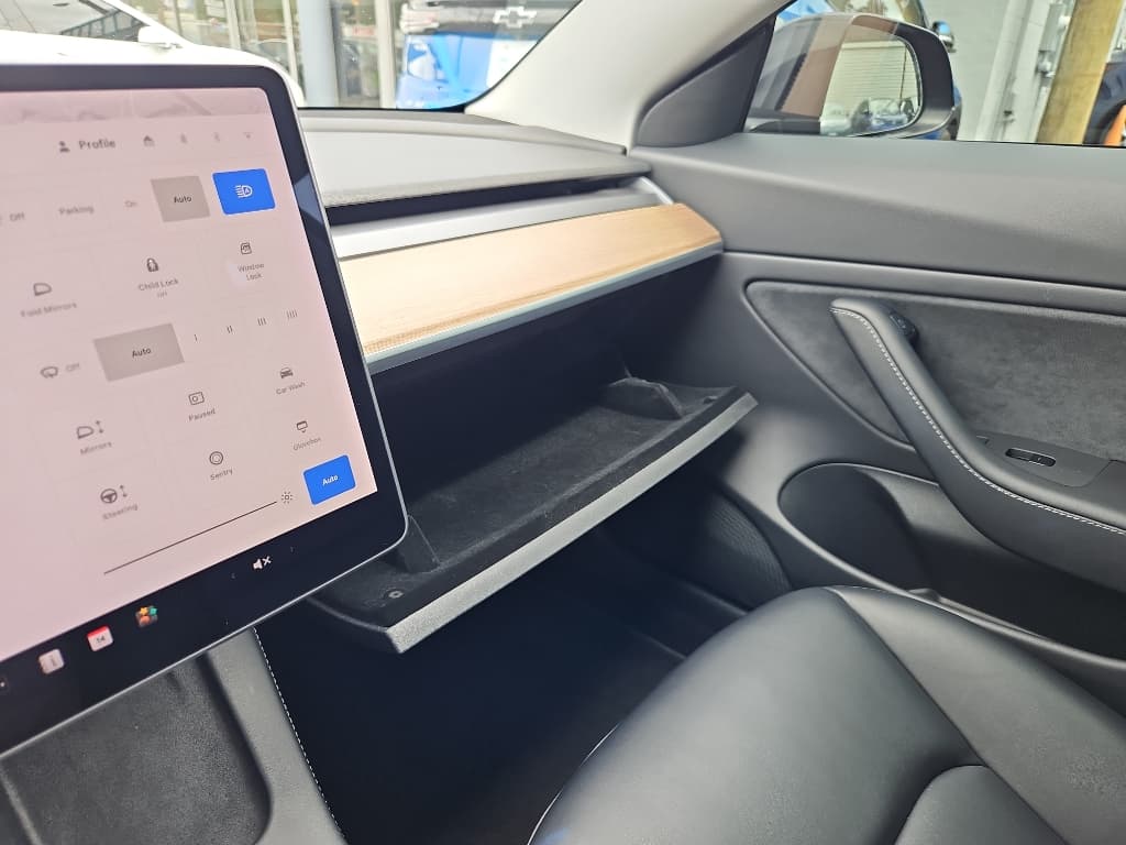 2021 Tesla Model 3 view 16