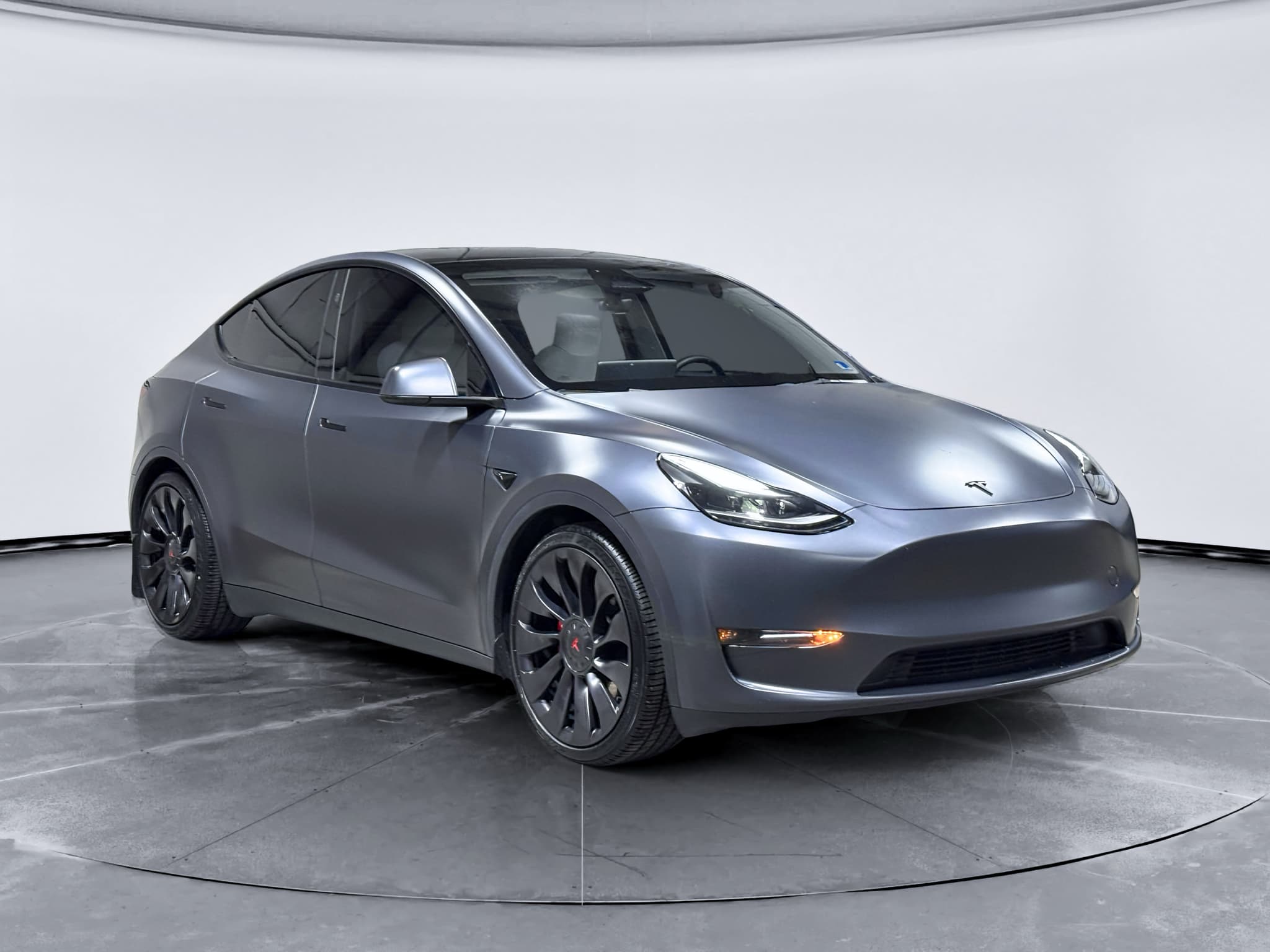 2023 Tesla Model Y view 4