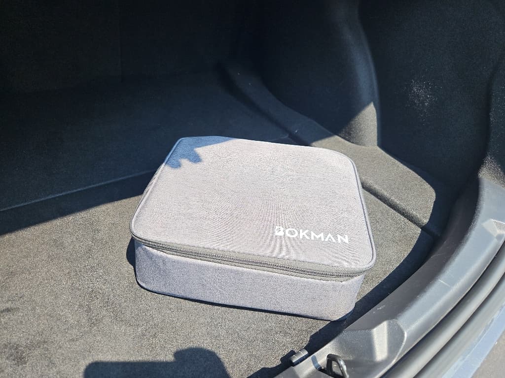 2021 Tesla Model 3 view 6