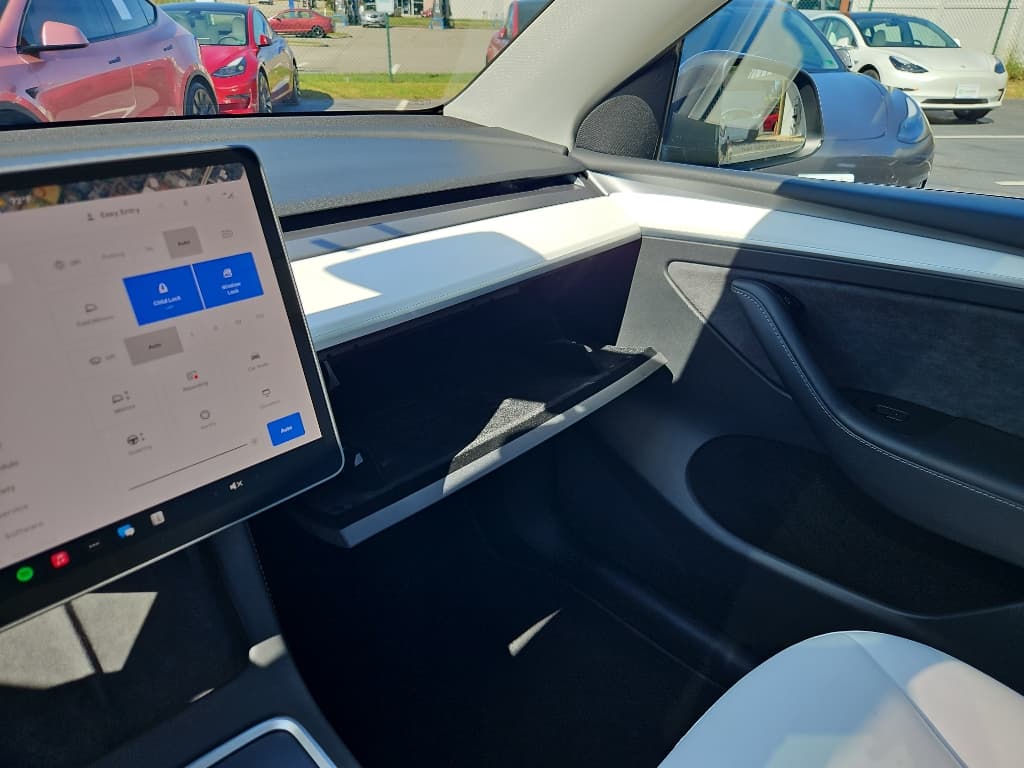 2023 Tesla Model Y view 18
