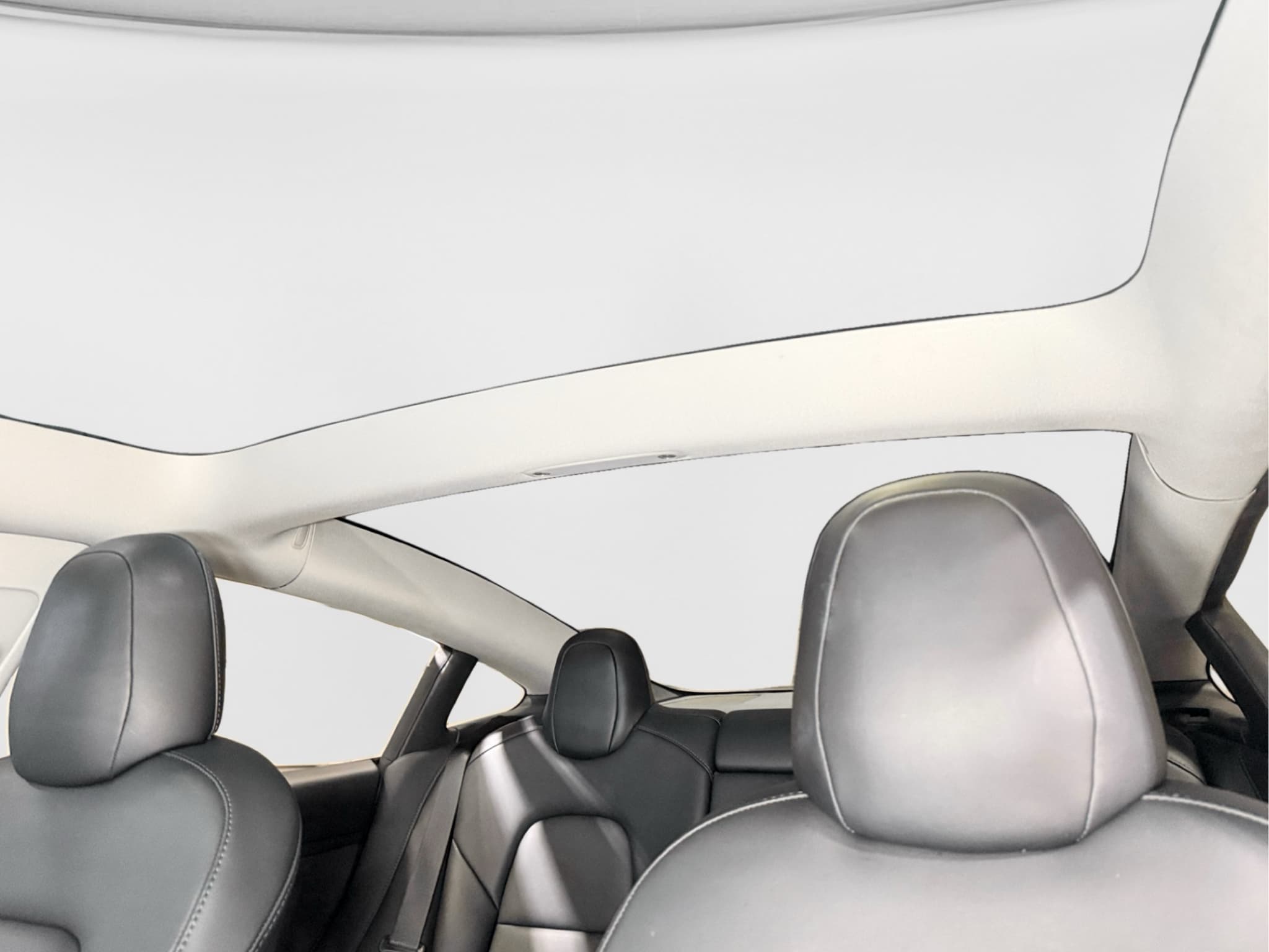 2021 Tesla Model 3 view 22