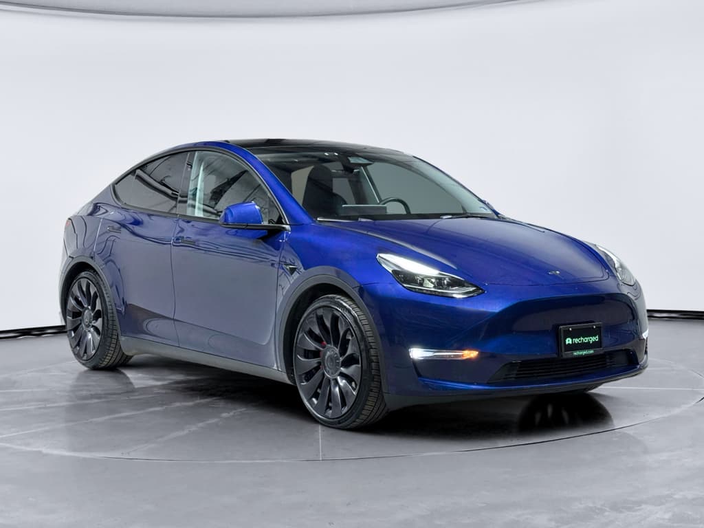 2023 Tesla Model Y view 4