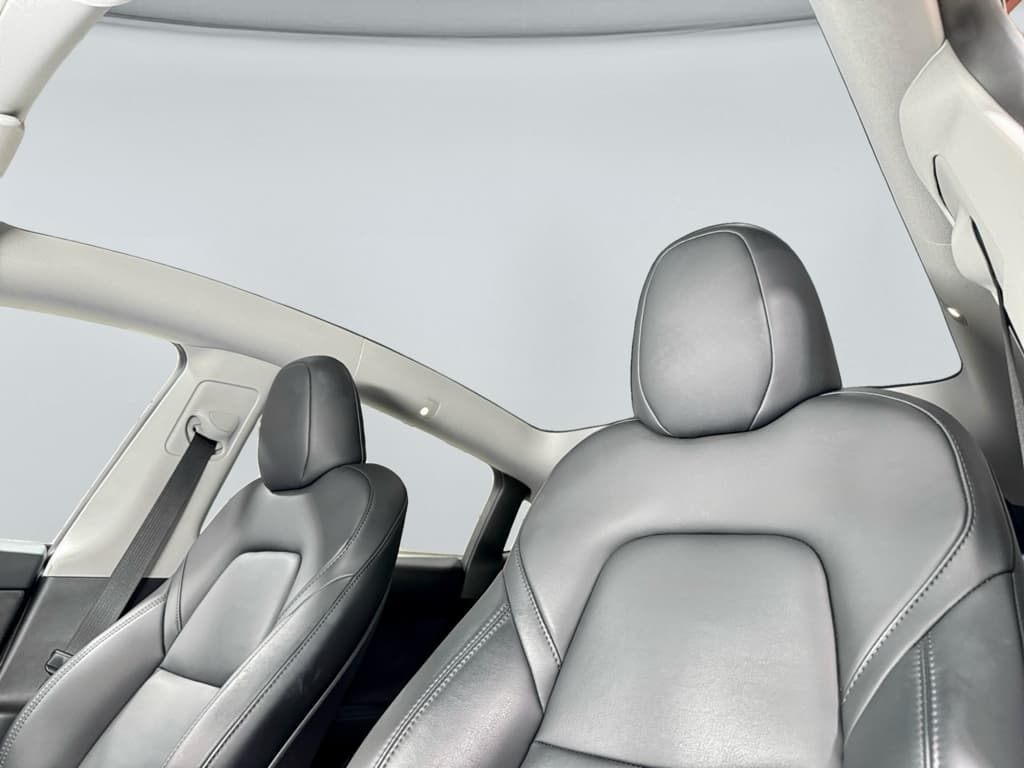 2023 Tesla Model Y view 22