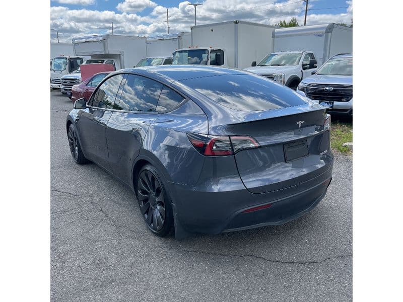 2023 Tesla Model Y view 4