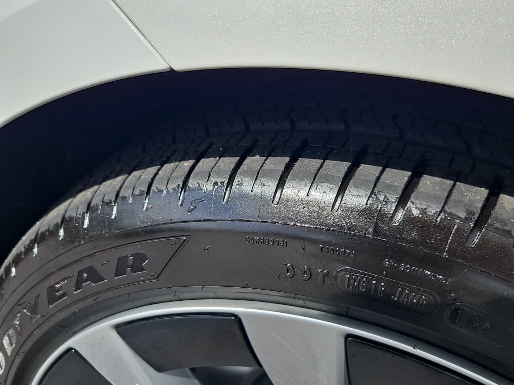 2025 Tesla Model 3 view 24