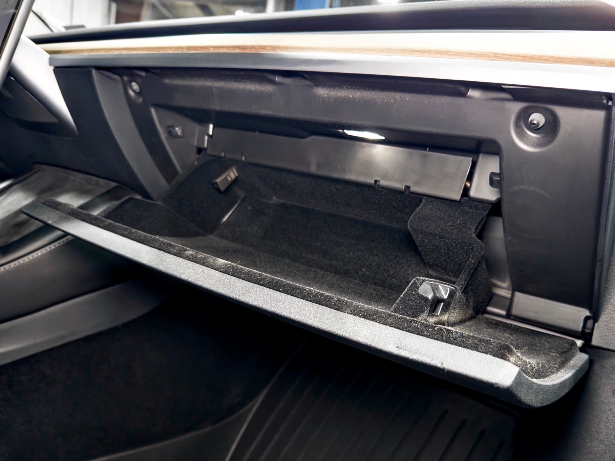 2023 Tesla Model Y view 18