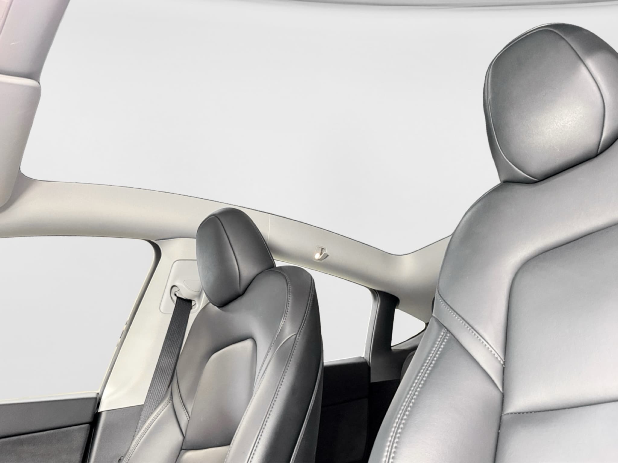 2023 Tesla Model Y view 22