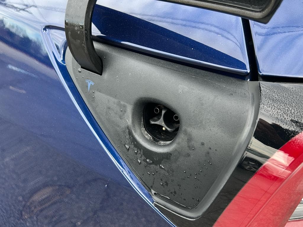 2021 Tesla Model 3 view 5