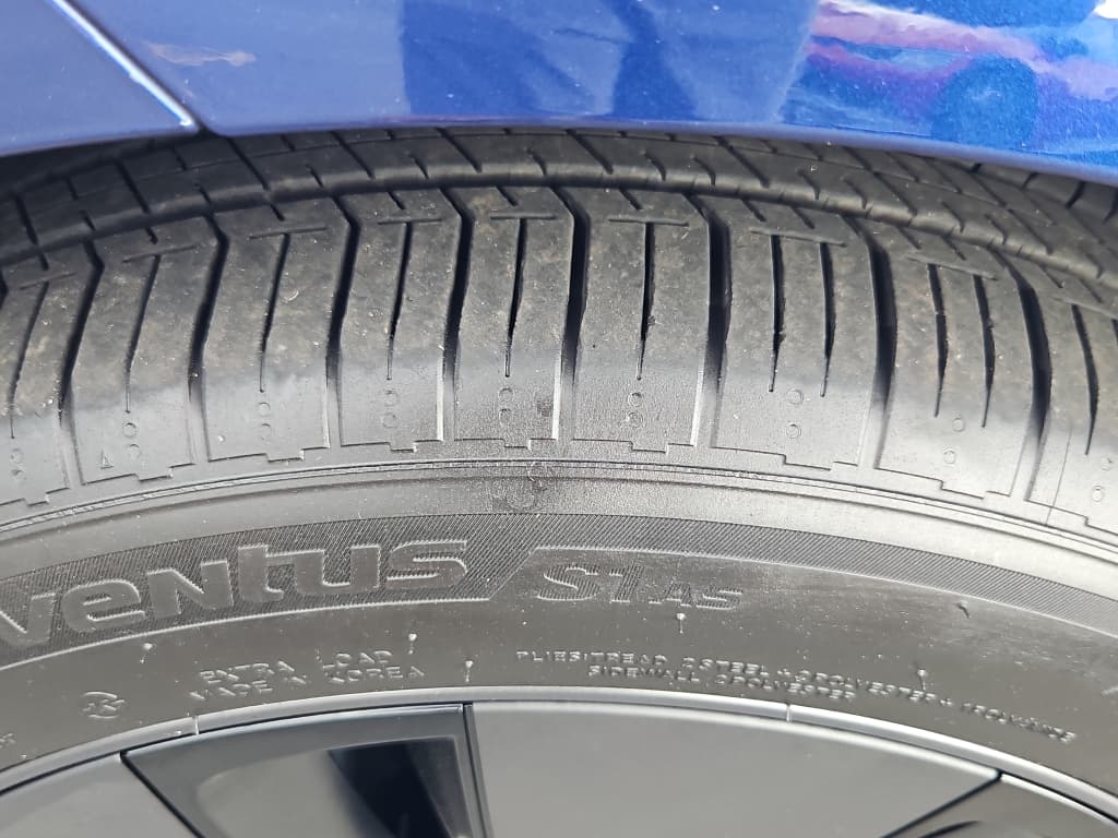 2025 Tesla Model 3 view 30