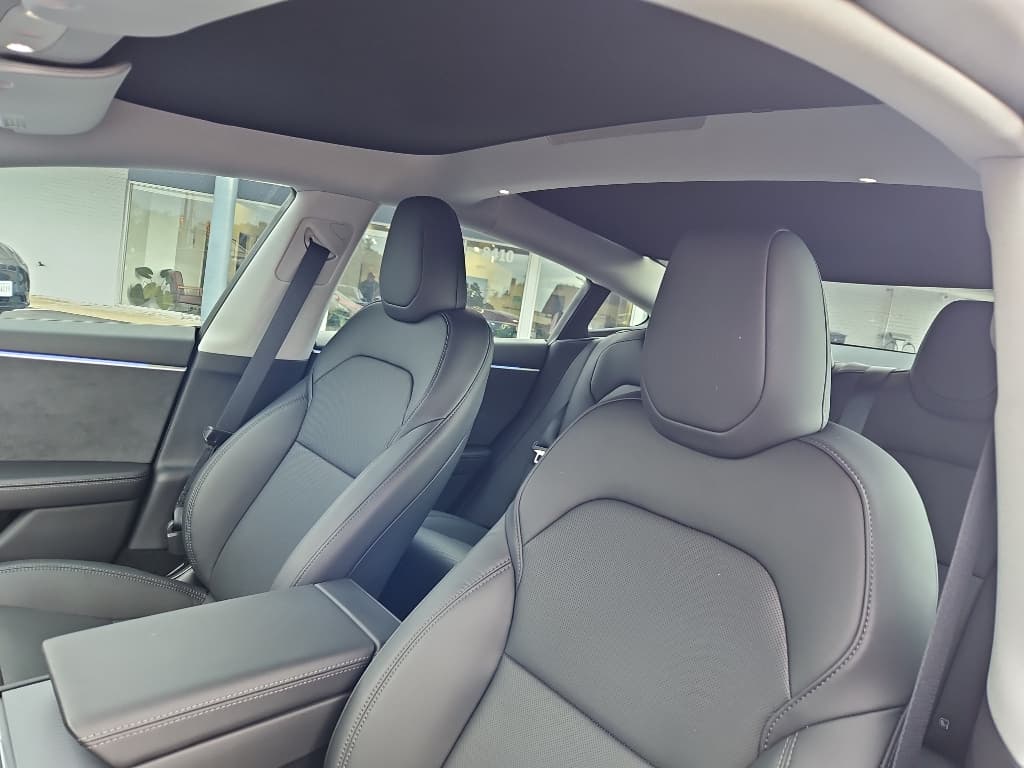 2025 Tesla Model 3 view 24