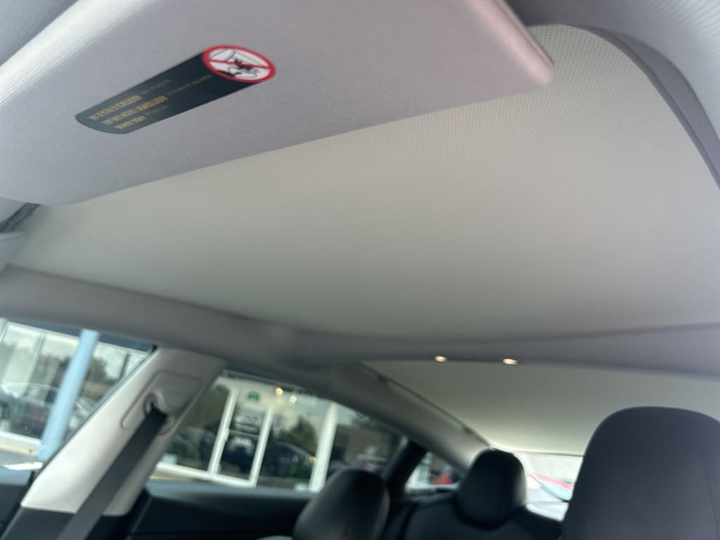 2021 Tesla Model 3 view 18