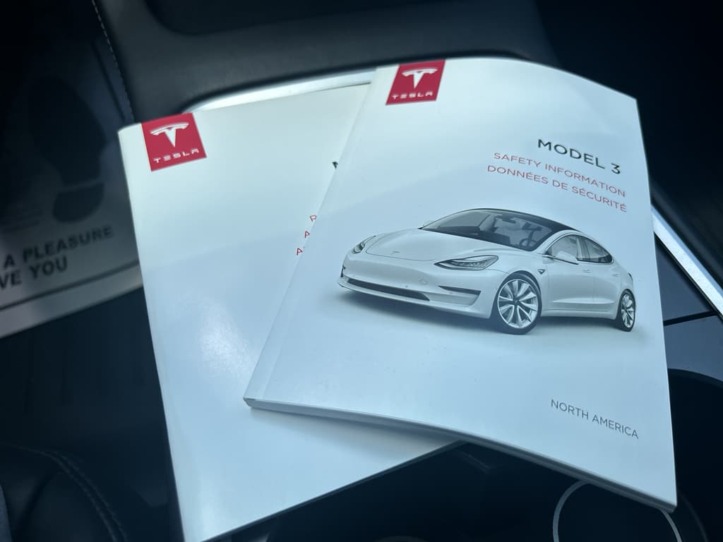 2021 Tesla Model 3 view 17