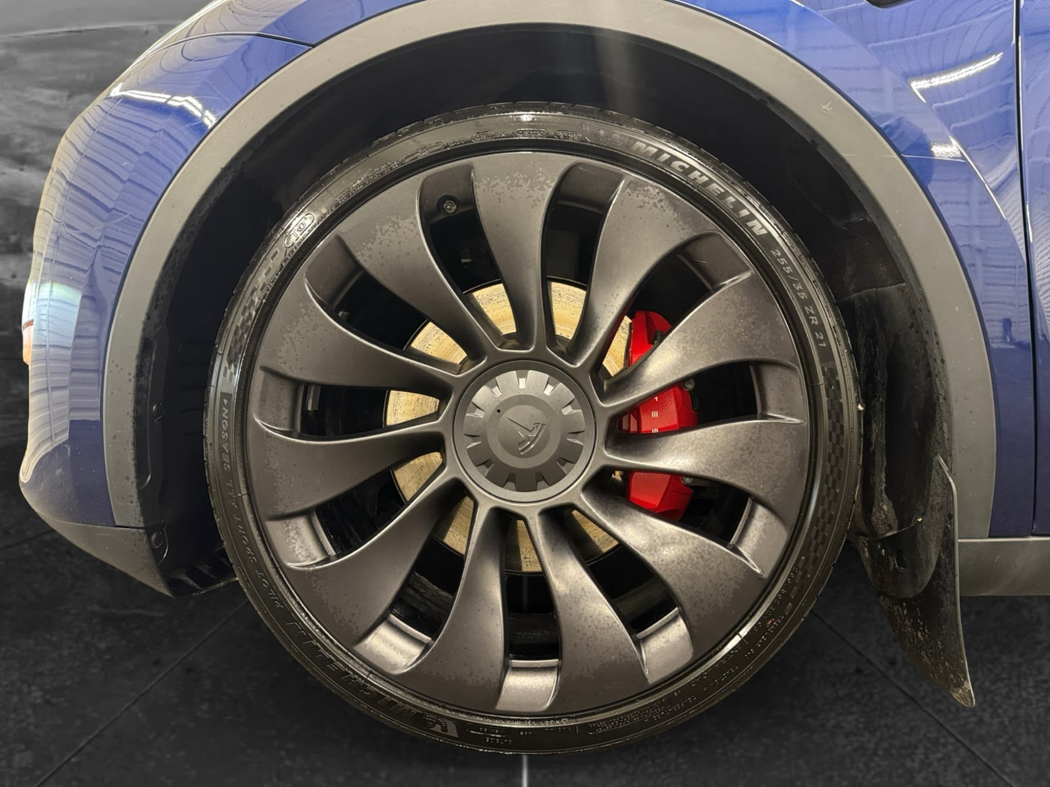 2023 Tesla Model Y view 15